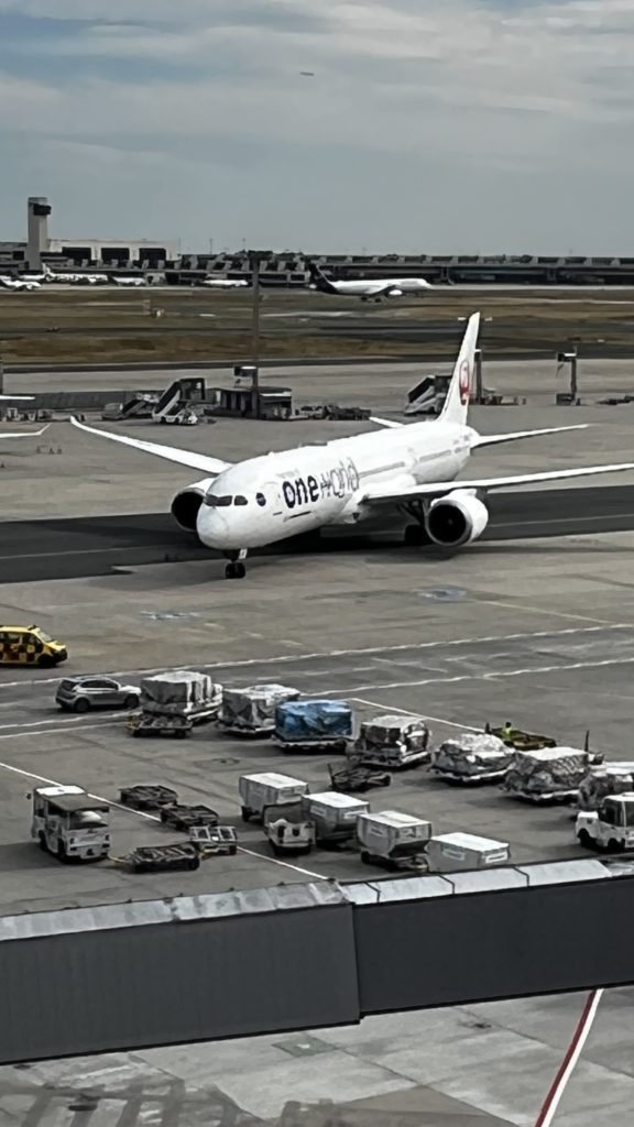 Un Boeing 787 de Japan Airlines (livrée One world) immatriculé JA861J en roulage vers sa porte à l’aéroport de Frankfurt (FRA) en Allemagne.