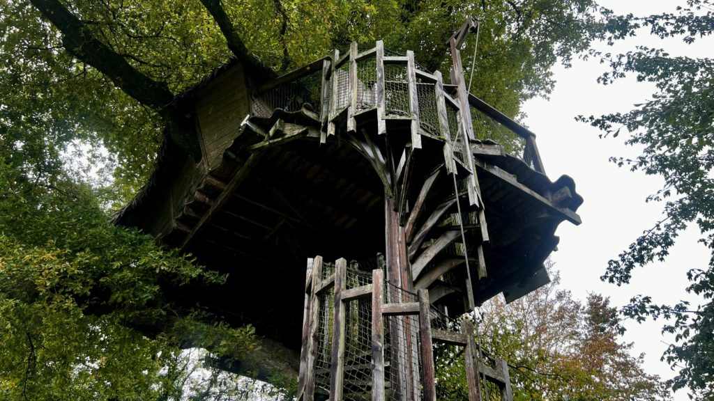 La vue sur une cabane dans les arbres