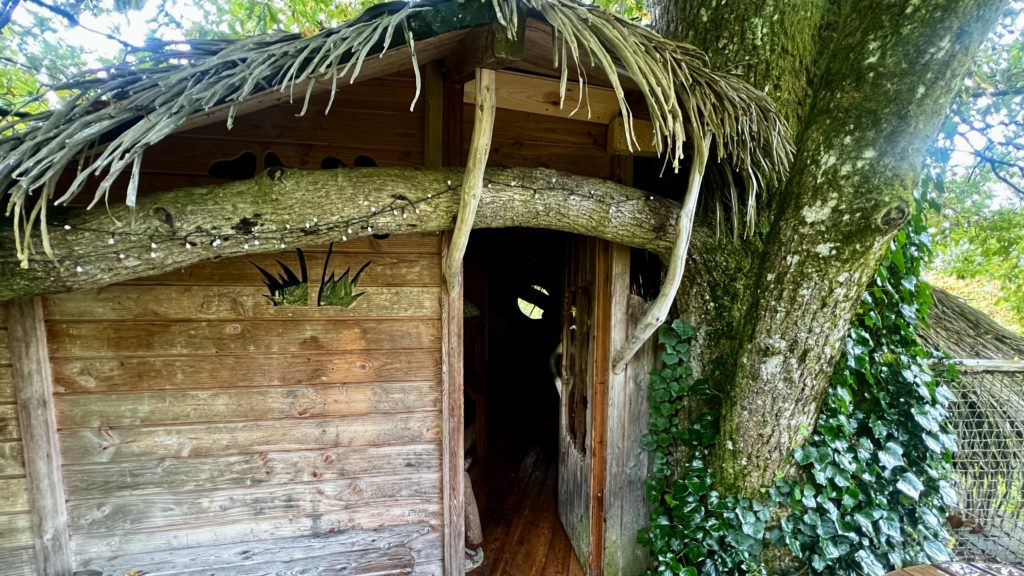 L'entrée d'une cabane dans un arbre