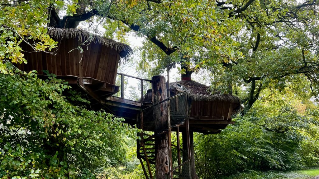 Une cabane dans un arbre