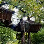 Une cabane dans un arbre