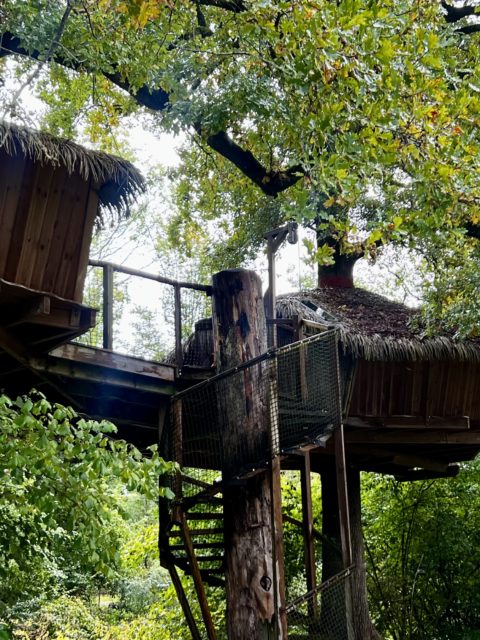 Une cabane dans un arbre