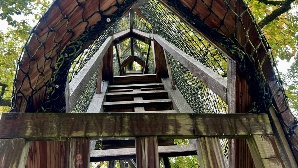 Une montée dans une cabane avec une échelle et un filet de sécurité