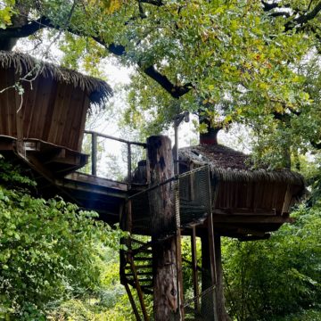 Une cabane dans un arbre