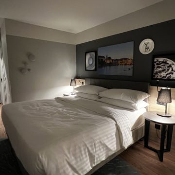 Une chambre d'hôtel avec un lit king-size