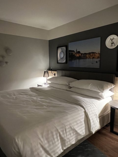 Une chambre d'hôtel avec un lit king-size