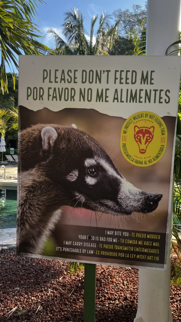 Un panneau indiquant de ne pas nourrir les animaux sauvages