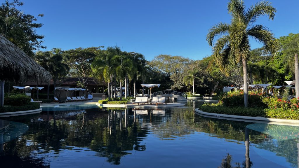 Une piscine avec des transats et des palmiers