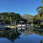 Une piscine avec des transats et des palmiers