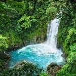water falls in the middle of green trees